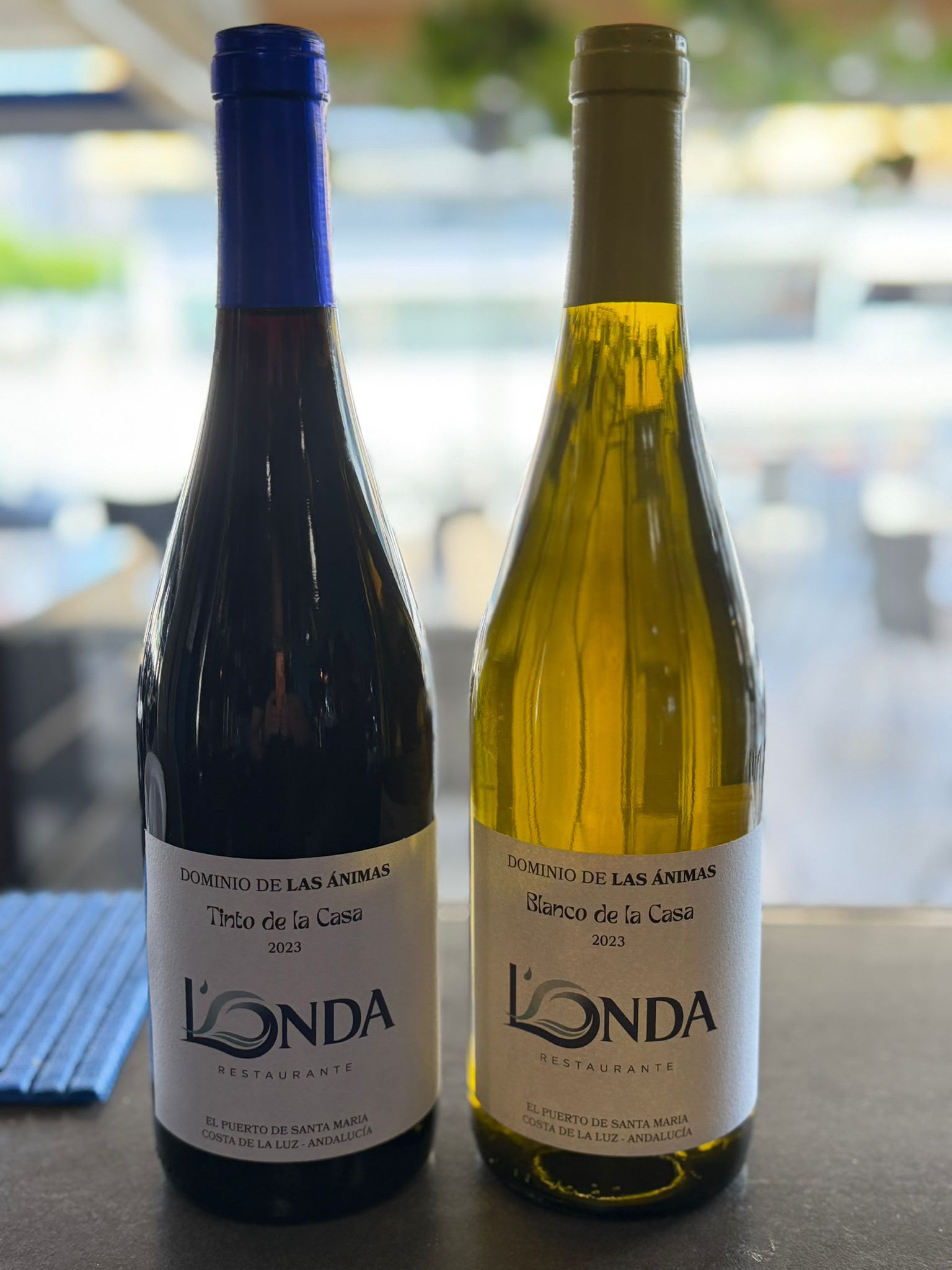 L'ONDA house wines — Tinto and Blanco de la Casa